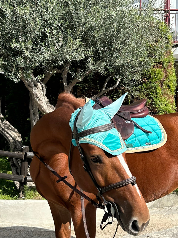 Turquesa velvet saddle pad