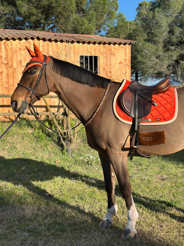 Carrot velvet